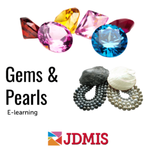 Cover image of JDMIS' Gem and Pearl online crash course
